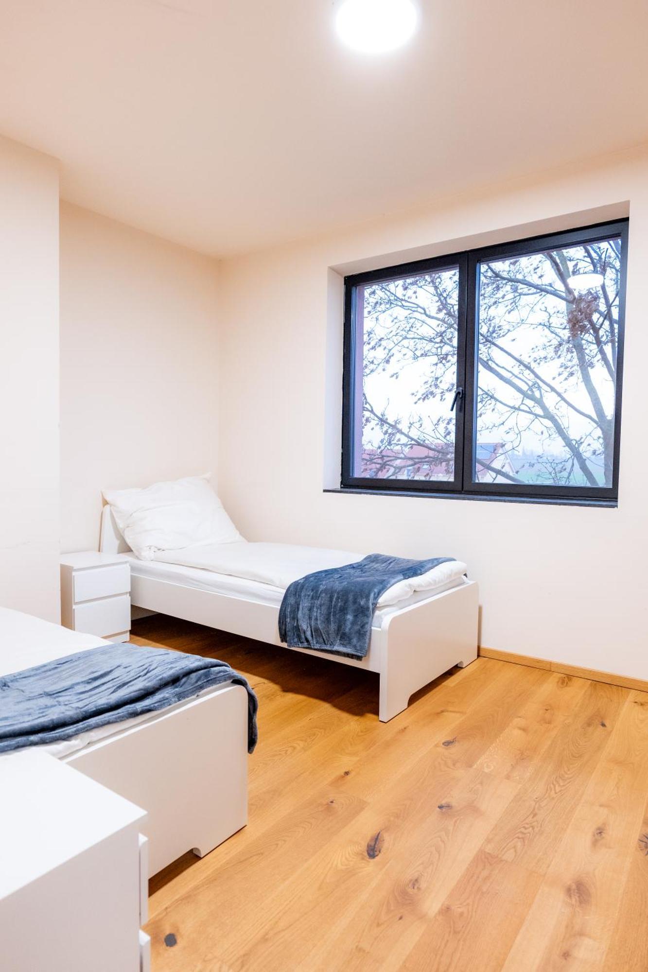 Villa Rose Close To Vienna & Airport Maria Ellend Exteriér fotografie